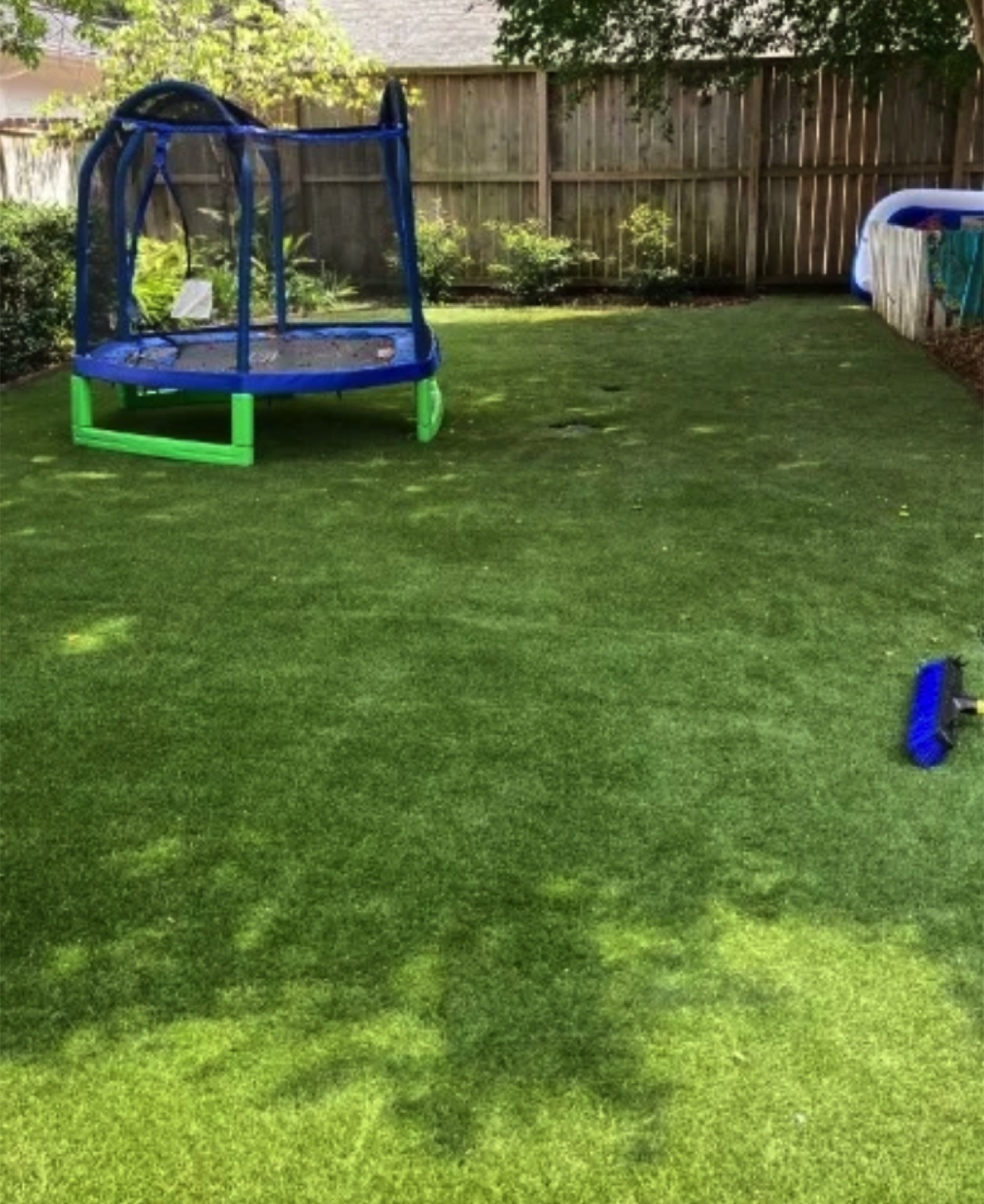 Backyard turf after deep cleaning