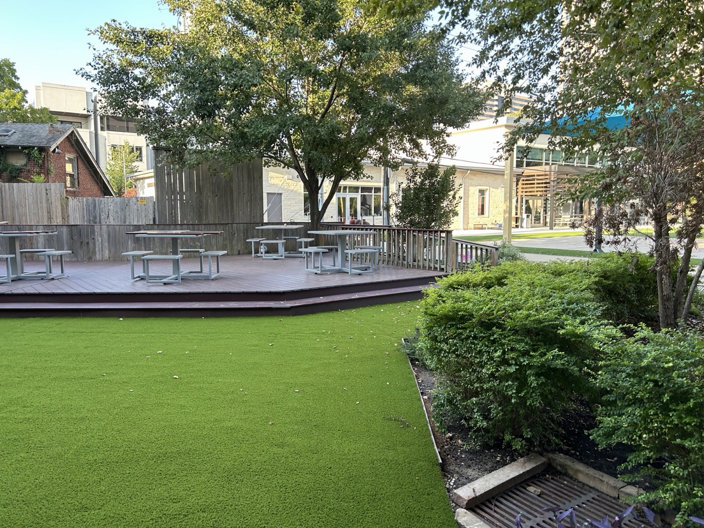 Turf at The Joy School - Montrose