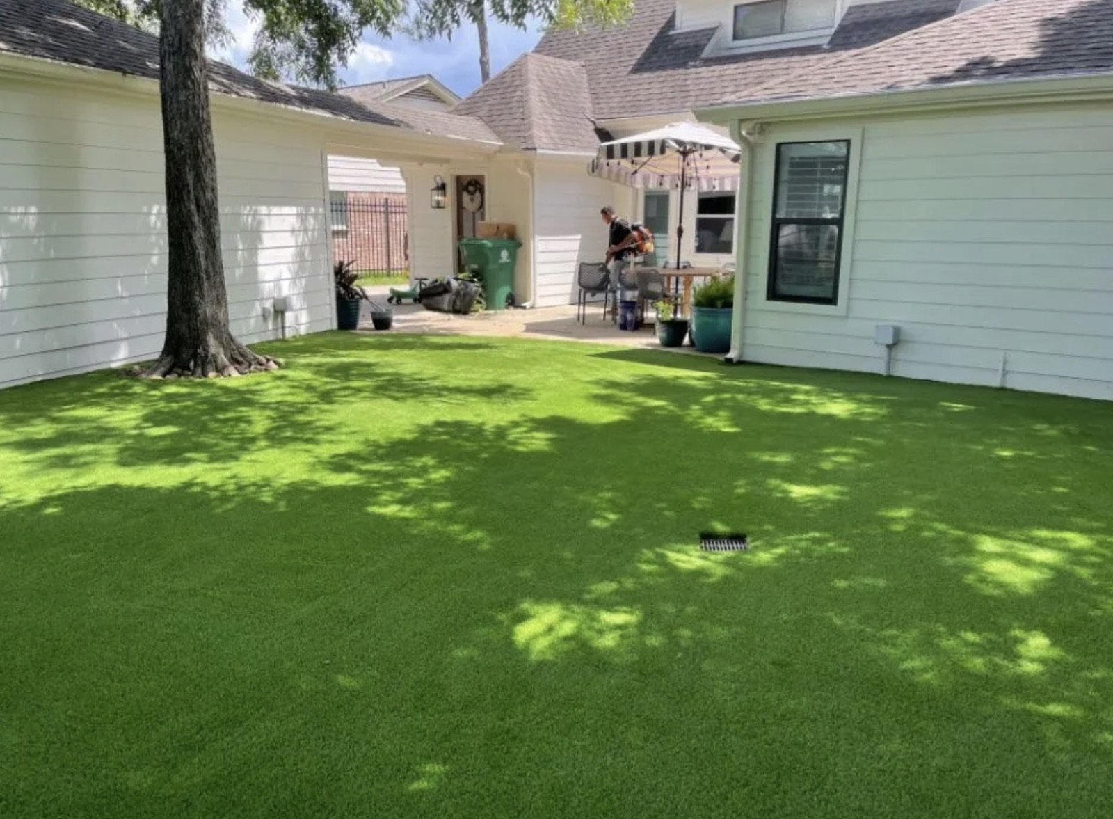 Shaded backyard turf