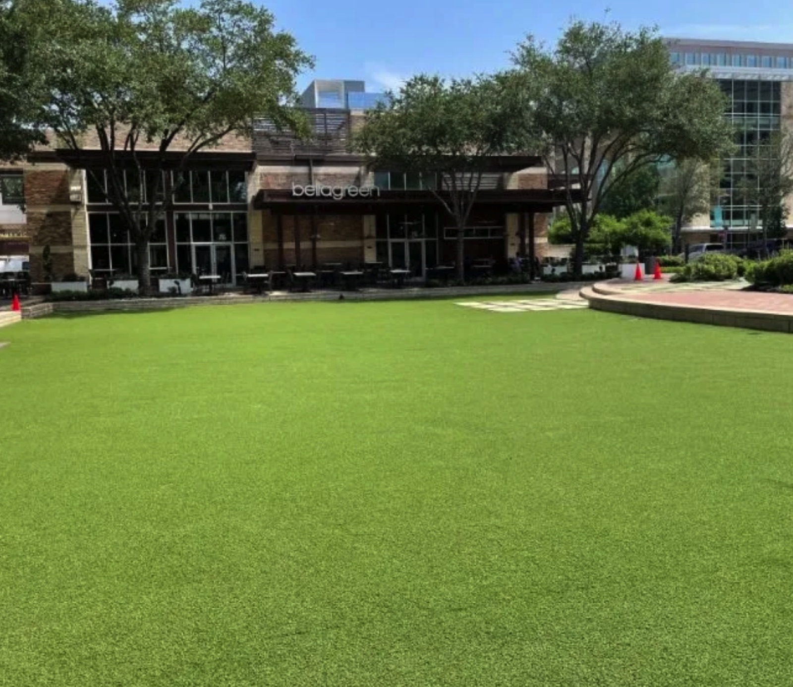 Commercial turf at Bellagreen